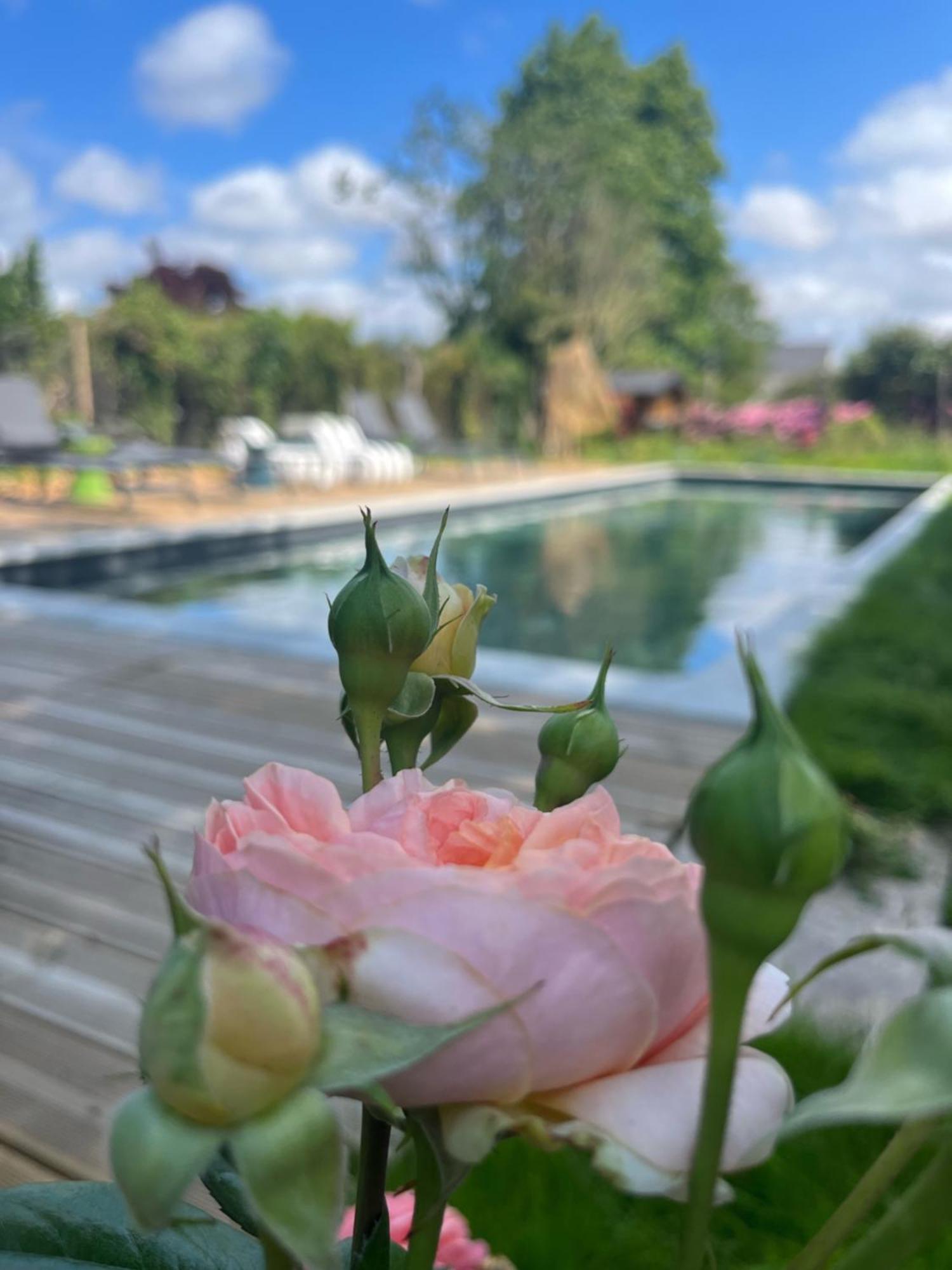 La_Grande_Guerais Bed & Breakfast Beaussais Sur Mer Ngoại thất bức ảnh
